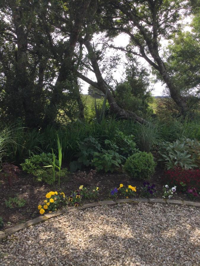Tullybeggs B&B Clifden Luaran gambar
